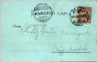 1900 Cegléd, Kossuth tér, városháza, Szentháromság szobor. Sebők Béla kiadása, Art Nouveau, litho (g...