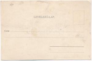 Miskolc, Kossuth szobor (ázott / wet damage)