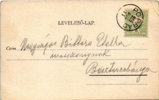 1905 Tátra, Magas-Tátra, Vysoké Tatry; látkép Poprádról / view from Poprad (EK)