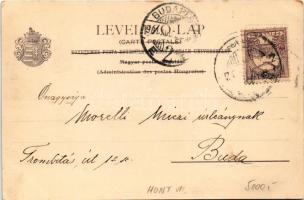 1901 Nagymaros, Dunapart