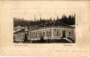 1901 Bártfa, Bártfafürdő, Bardejovské Kúpele, Bardiov, Bardejov; Ásványvíz fürdő. Salgó Mór kiadása / spa, bath (EK)