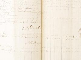 1769/70 Ugocsa megyei települések háziállat helyiségenként és gazdánkénti külön felsorolással, 17 be...