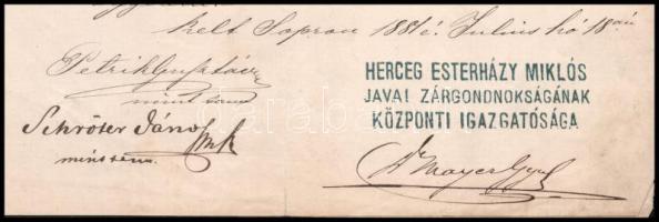 1881 Herceg Esterházy zárgondnokság törlési nyugta 3+2Fl illetékbélyegekkel