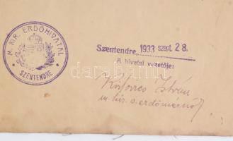 1934 Gróf Karátsonyi Jenő solymári hitb. erdejének gazdasági térképe, vászonra kasírozva, 50×48 cm