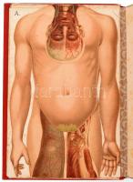 Platen M(oritz): Az új gyógymód. I. kötet. Bp.,én., Schroeter H. L. Színes táblákkal, mellékletekkel...