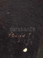 Olvashatatlan jelzéssel (Berda Ernő?): Lány arcképe (1925?). Olaj, karton, kissé sérült, 50,5×38 cm