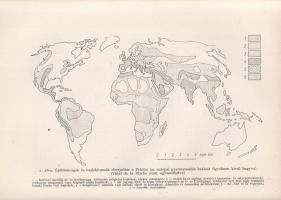 Mendöl Tibor: Általános településföldrajz. (Dedikált.) Budapest, 1963. Akadémiai Kiadó (ny.) 567 + [...