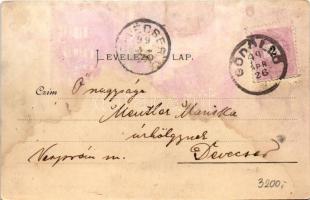 1899 (Vorläufer) Gödöllő, Alsó Park. Műintéz. Pick Testver. (fl)