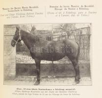 Döhrmann Henrik: Lótenyésztés. Magyarország állattenyésztése II. köt. Szerk.: Konkoly Thege Sándor. ...