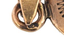 Arany (Au) függőmedál,, 14K, jelzett, 2,7g