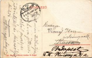 1907 Máramarossziget, Sighetu Marmatiei; Petőfi liget. Wizner és Dávid kiadása / park, lake (Rb)