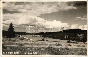 1943 Hargitafürdő, Harghita-Bai; Tolvajos tető / Pasul Vlahita / general view (EK)