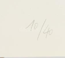 Bér János (1937-2021): Zöld-kék kompozíció, 1992. Szitanyomat, papír, jelzett, számozott (10/40). La...