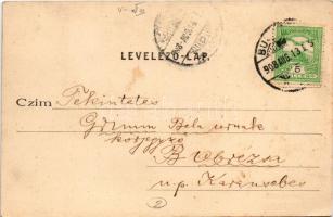 1908 Budapest VIII. Múzeum körút, Kálvin tér, Nemzeti Múzeum, villamosok, szökőkút