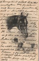 Horse and puppies (wet damage)