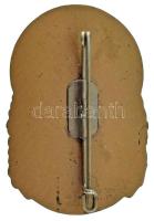 NSZK 1971. "Hesseni Lövészeti Egyesület - Frankfurt" zománcozott bronz díjjelvény "St...