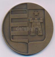 DN "Tata - Társadalmi Munkáért" kétoldalas bronz érdemérem (50mm) T:AU