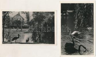 Budapest XIV. Állatkert, Zoo Budapest - 4 db régi képeslap