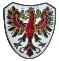 Ausztria DN Tirol címere zománcozott bronz jelvény T:AU Austria ND Tirol coat of arms enameled bronze badge C:AU