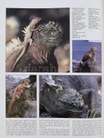 Peter Salwen: Galápagos: Az elveszett paradicsom. Ford.: Balla Péter. Kaposvár, 1994, Holló és Társa...