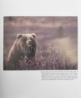 Alaskan Wildlife. Photographs by Tom Walker. Text by Marydith Beeman. Portland,én.,Graphic Arts Cent...