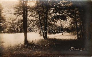 Tibód, Tibod; erdőrészlet / forest. Szabó Gáborné szül. Török Piroska photo (kopott sarkak / worn corners)