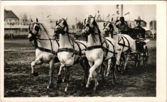 1942 Budapest, Országos Mezőgazdasági Kiállítás és Tenyészállatvásár, négyesfogat, Weiss Manfréd