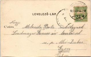 1906 Budapest II. Pesthidegkút, Hidegkút látképe. Divald Károly 305. sz. (vágott / cut)