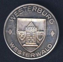 Németország 1974. "Liebfrauenkirche" Ag 20g emlékérem T:exPP