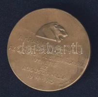 1914-1915. "Krasniki csata..." zsákmányolt ágyúból vert Br emlékérem, szign.: Murányi T:2