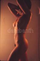 cca 1960 2 db akt negatív, egy színes, egy fekete-fehér, 9,5×6 és 6×6 cm