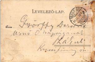 1899 (Vorläufer) Segesvár, Schässburg, Sighisoara; Fritz Teutsch (fl)