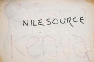 Bowyer Bell, John (1931-2003): "Nile source", 1996. Vegyes technika, kollázs, vászon, Jele...