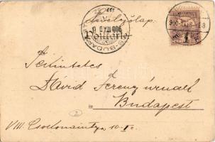 1900 "AUGUST", hattyúk, titkosírással / Art Nouveau litho postcard with swans, written wit...