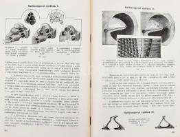 Fritz Kahn: Az emberi test csodái I-II. köt. Ford.: Szalai Sándor. Bp., 1943, Dante. Kiadói félvászo...