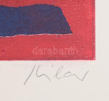 Kilár István (1935-): Szétszórt formák. Színes rézkarc, akvatinta, papír, jelzett. Számozott: 39/75....