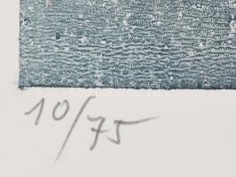 Kilár István (1935-): Maradványok. Színes rézkarc, akvatinta, papír, jelzett. Számozott: 10/75. Pasz...