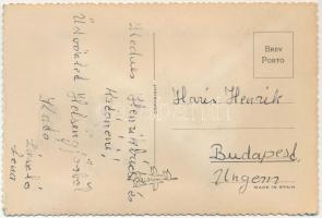 Hímzett népviseletű lappföldi svéd nő, rénszarvassal / silk embroidered woman in folk costume with r...