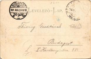 1901 Bártfa-fürdő, Bardejovské Kúpele, Bardiov, Bardejov; Fő tér. Eschwig és Hajts kiadása. Hajts Ko...