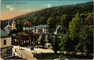 1917 Bártfafürdő, Bardejovské Kúpele, Bardiov, Bardejov; Főforrás tér, Eschwig üzlete. Eschwig és Hajts kiadása. Hajts Kornél felvétele / spring, square, shop (EB)