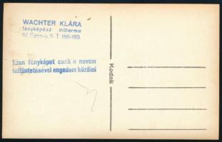 Babits Mihály (1883-1941) költő, író, irodalomtörténész, műfordító portréja, Wachter Klára fényképés...