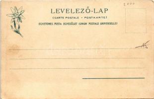 Tátra, Magas-Tátra, Vysoké Tatry; Tarpataki hidegfürdő, Lomnici csúcs és Középorom. Feitzinger Ede k...