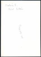 Füst Milán portréja, Molnár Edit (1933-) Balázs Béla-díjas fotóművész hátoldalán jelzett fotója, 18x...