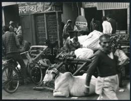 Eifert János (1943- ): India, kalkuttai részlet, 1974 körül, hátoldalán jelzett fotóművészeti alkotás, alján apró törésnyommal, 18x23,5 cm