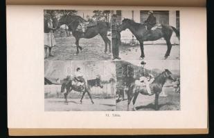 Hankó Béla: Székely lovak. Erdélyi Tudományos Intézet. Kolozsvár, 1943, Nagy Jenő és Fia. Kiadói pap...