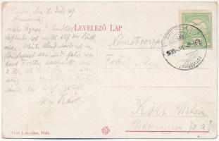 1909 Piski, Simeria; Aranyi átjárás a komppal. Főző J. kiadása / ferry crossing the Mures river to U...