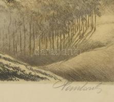 Paulovits Pál (1892-1975): Erdő. Színezett rézkarc, papír. Jelzett. Lap széle kissé foltos. Dekoratí...