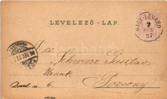 1898 (Vorläufer) Üdvözlet Éjjel. Legújabb éjjeli fölvétel. Szecessziós művészlap bagollyal és denevé...