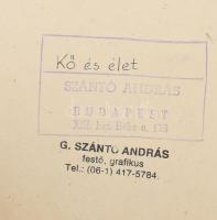 G. Szántó András (1937-2002): Kő és élet. Fotó, papír, kartonon, hátoldalán pecséttel jelzett, 38x22...