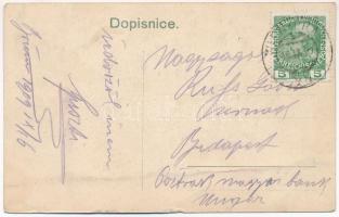 1909 Brno, Brünn; Celkovy pohled, Spilberk / general view, castle. Art Nouveau playing card frame (h...